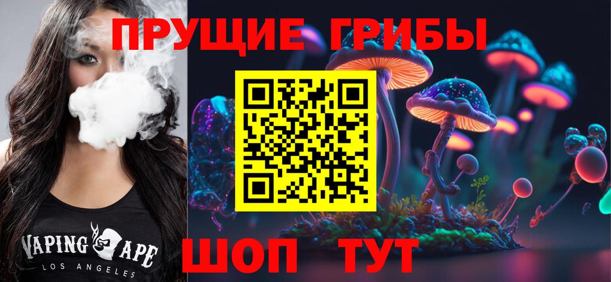 Осинники  Псилоцибиновые грибы прущие грибы  Псилоцибиновые грибы Psilocybe  Вход с VPN 