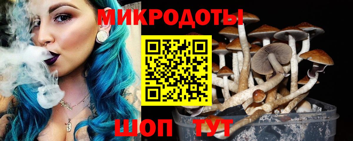 Псилоцибиновые грибы MAGIC MUSHROOMS Осинники